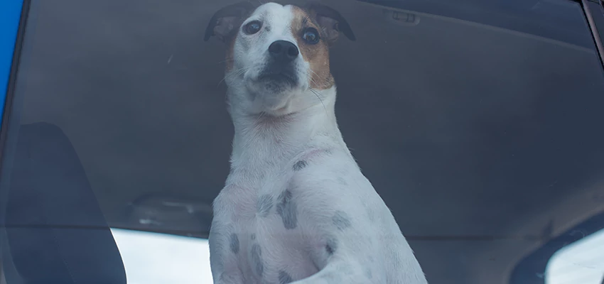 Car Lockout Solutions in Oakdale, California